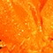 The Ribbon People Club Pack of 36 Orange Organza Tie Gift Bags 5.5" x 8"